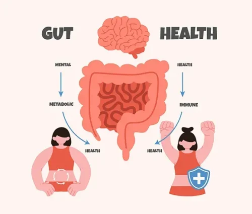gut health vs brain health