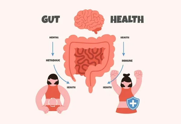 gut health vs brain health