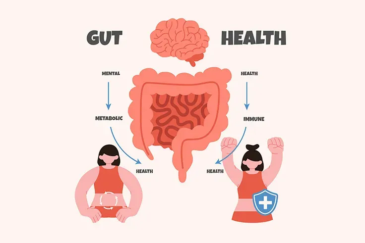 gut health vs brain health